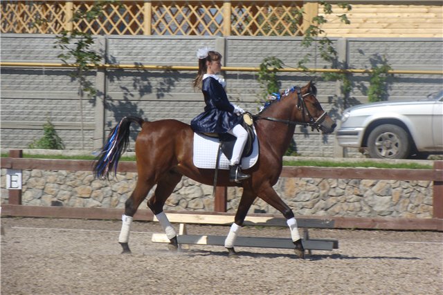 http://www.equestrian.ru/photos/user_photo/2009/89a0f3ce.jpg