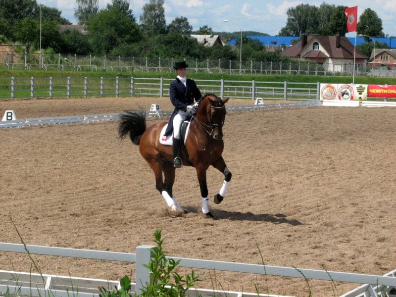 http://www.equestrian.ru/photos/user_photo/2009/d3e3d9b4.jpg