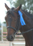 http://www.equestrian.ru/photos/user_photos/a_62eb40_sm.jpg