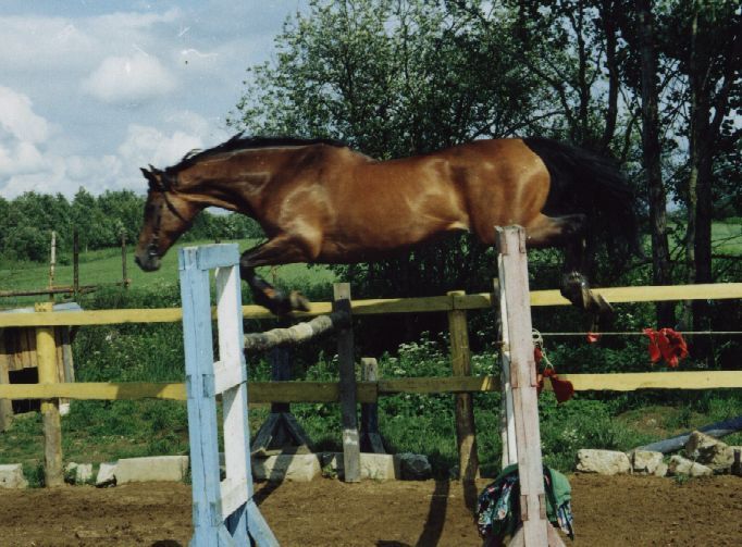 http://www.equestrian.ru/photos/user_photos/a_bf3f60.jpg