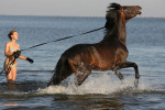 http://www.equestrian.ru/photos/user_photos/a_d3f541_sm.jpg