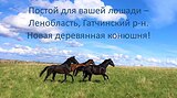 Постой для вашей лошади в новой деревянной конюшне