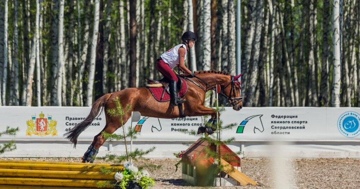 Всадник выезжает