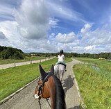 Верховая езда в Maxima Stables.