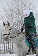 В процессе заездки