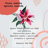 Нужна кобыла верховой поро