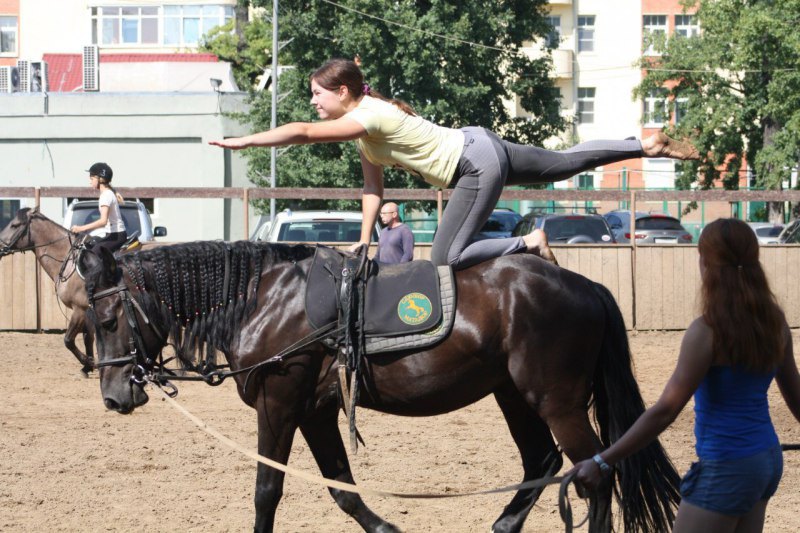 https://www.equestrian.ru/photos/img_cache/59c/59c9a37bf6140f53a727a1166a24f1ed_fitted_815x1000.jpg