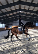 Тренировки на спортивных лошадях