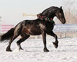 Новичку или ребёнку!