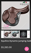 EQUILINE Dynamic 17M проф конкур 