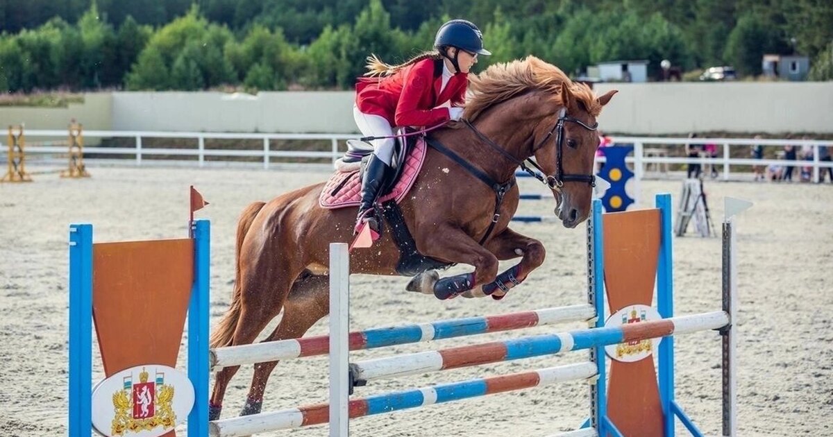 Соревнования прыжки на лошадях