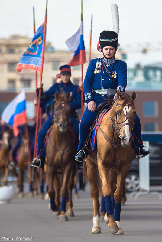 Шемая донская фото