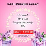 Купим конкурную лошадку за 