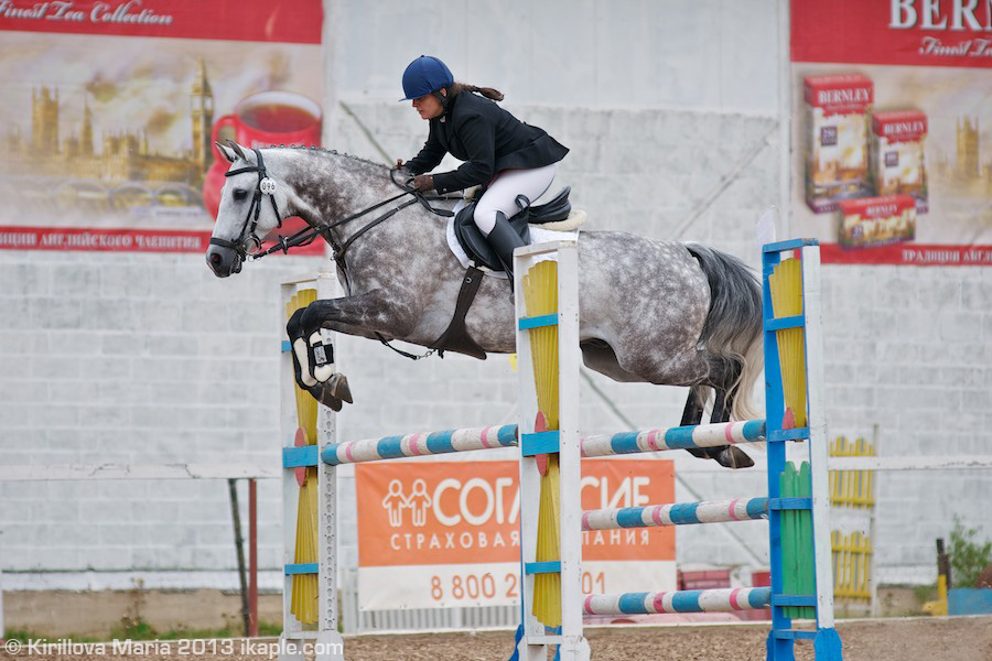 http://www.equestrian.ru/photos/photoreport2013/08_eventing_svechino/DSC_5233_Nabieva_Chabanak.jpg