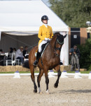 Афрамеева Марина / Апгрейд Афрамеева Марина / Апгрейд