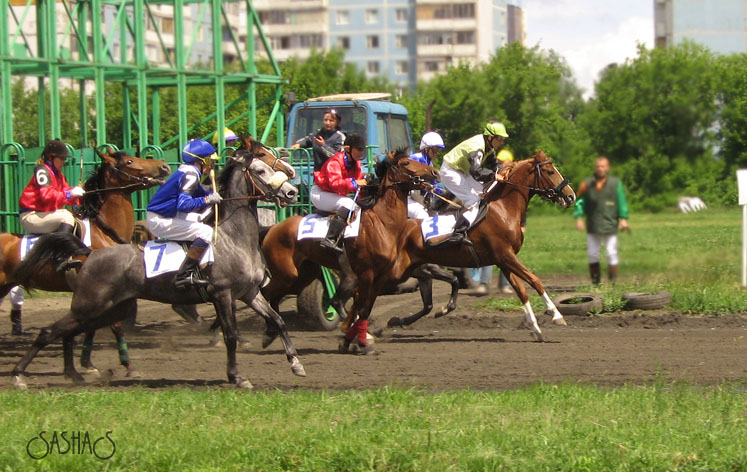 http://www.equestrian.ru/photos/user_photos/a_45fb84.jpg