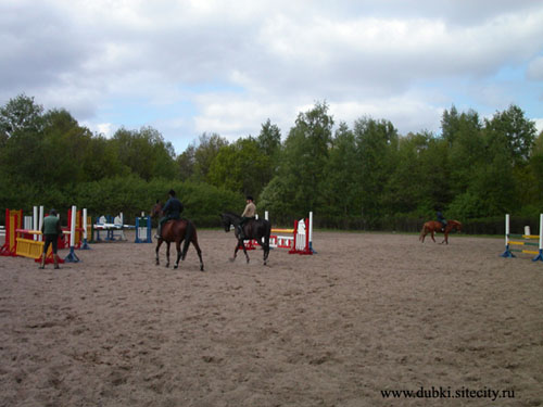 http://www.equestrian.ru/photos/user_photos/a_481a6e.jpg